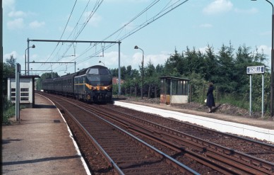 Schelle - TH 80-4846.jpg